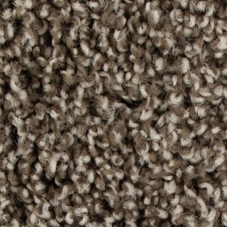 Mohawk Carpet Color Fusion II Taupe Whisper Mohawk