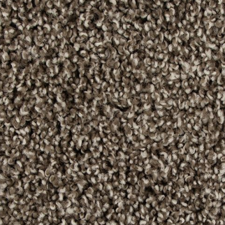 Mohawk Carpet Color Fusion I Taupe Whisper Mohawk