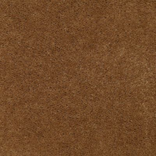 Aladdin Carpet Accelerator Plus Chestnut MISSING