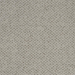 Masland Carpets Montauk Oyster Shell Masland