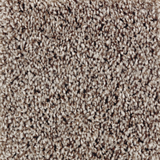 Mohawk Carpet Perfect Attraction Crossroads Mohawk