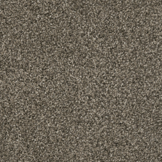 Dixie Home Big Idea Boulder