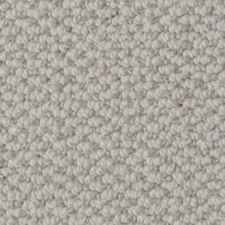 Dixie Home Authentic Living Plume