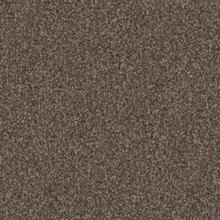 Dixie Home Labrador Pinscher