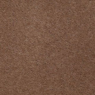 Aladdin Carpet Accelerator Plus Coffee Shop MISSING