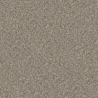 Masland Carpets Tracker Lassie Masland