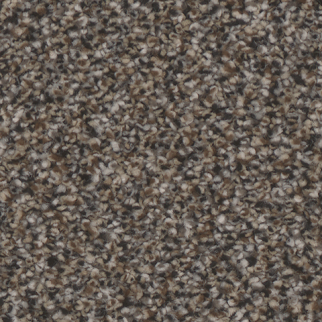 Tarkett Home Carpets Riviera Ritzy LEXMARK