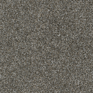 Dixie Home Game Plan Slate