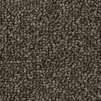Horizon Carpet Pure Wonder 12' Perfect Taupe Mohawk