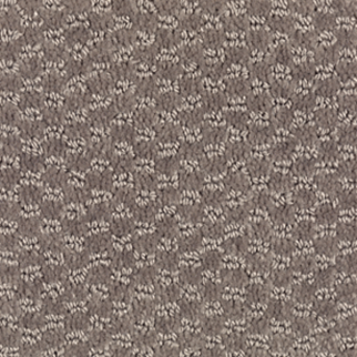 Mohawk Carpet Dynamo Roosevelt Mohawk