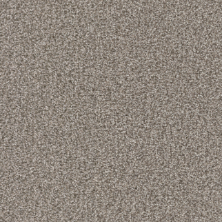 Masland Carpets Tracker Rover Masland