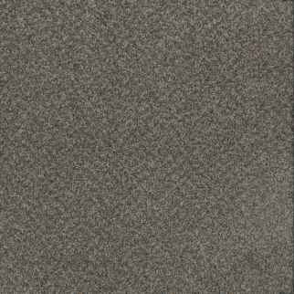 Dreamweaver Carpet Toast Of The Town Flagstone DREAMWEAVER