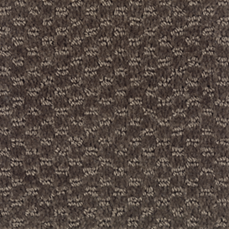 Mohawk Carpet Dynamo Cigar Leaf Mohawk