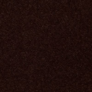 Aladdin Carpet Accelerator Plus Expresso MISSING