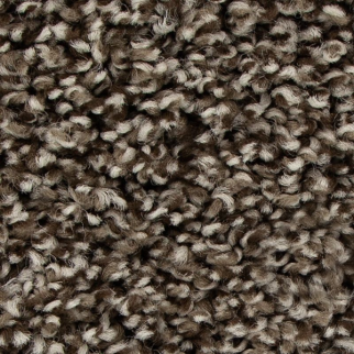 Mohawk Carpet Color Fusion II Highlander Mohawk