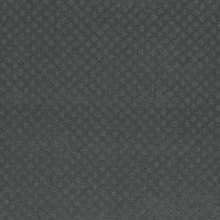 Dreamweaver Carpet Capri Onyx Waves DREAMWEAVER