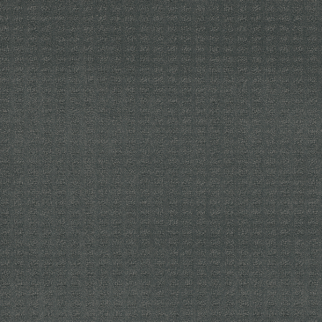 Dreamweaver Carpet Caspian Onyx Waves DREAMWEAVER