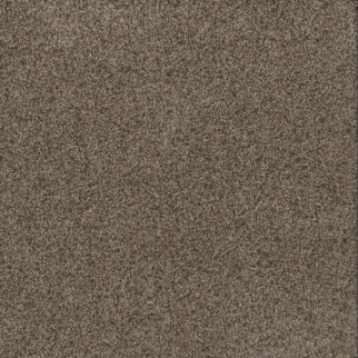 Dreamweaver Carpet Toast Of The Town Tanzanite DREAMWEAVER