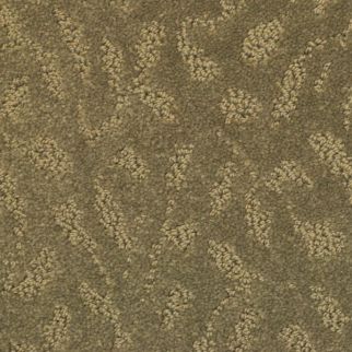 Masland Carpets True Luxury Shale Masland