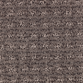 Mohawk Carpet Ultimate Image Black Walnut Mohawk