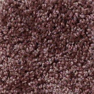 Shaw Floors Dreamin 12' Amethyst Sky SHAW