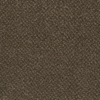 Dreamweaver Carpet Toast Of The Town Black and Tan DREAMWEAVER