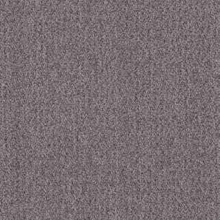 Shaw Floors Fine Tapestry Deep Connection SHAW