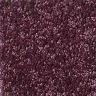 Shaw Floors Fielders Choice 12 Royal Purple SHAW