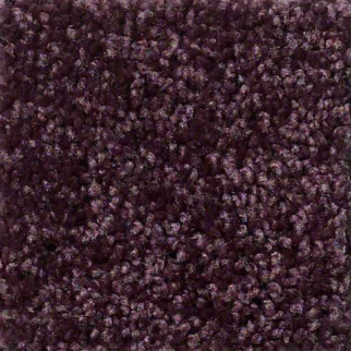 Shaw Floors Full Court 12 Royal Purple SHAW