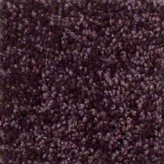 Shaw Floors Full Court 15 Royal Purple SHAW
