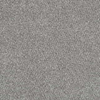 Dreamweaver Carpet Trendsetter II Moonstone DREAMWEAVER