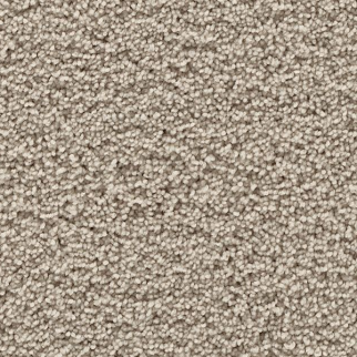 Mohawk Carpet Gentle Path Smoked Oyster Mohawk
