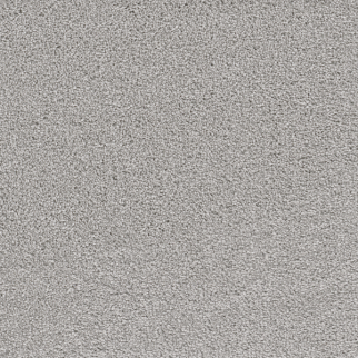 Dreamweaver Carpet Cape Cod Icicle DREAMWEAVER