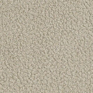 Phenix Carpets Crave Compel PHENIX