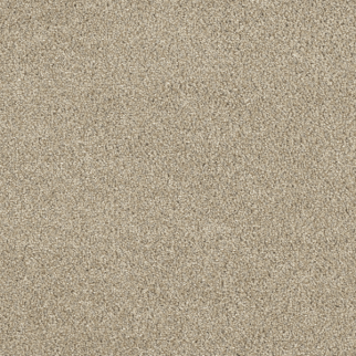 Dreamweaver Carpet Hollywood Oyster Shoal DREAMWEAVER