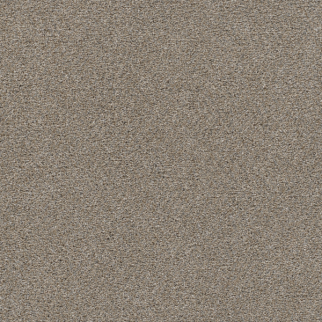 Dreamweaver Carpet Malibu II Oyster Shoal DREAMWEAVER