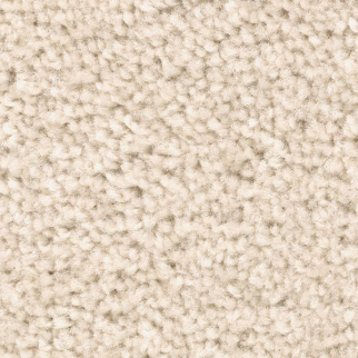 Mohawk Carpet Treasure Valley Bone Mohawk