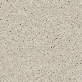 Mohawk Carpet Quality Feeling Seagull Mohawk