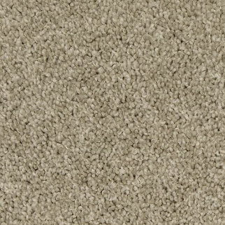 Mohawk Carpet Up The Ante Tradewinds Mohawk