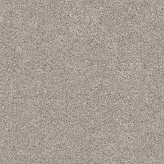 Dixie Home Labrador Maltese