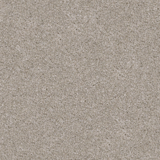 Dixie Home Pyrenees Maltese