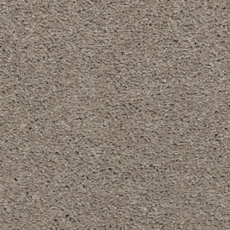 Godfrey Hirst Carpets Luxurious Hues Champagne Beige GODFREY HIRST