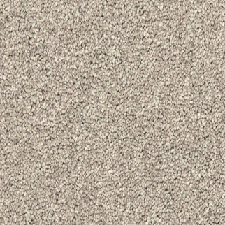 Mohawk Carpet Bold Creation Carbon Dust Mohawk