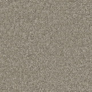 Dreamweaver Carpet Broadcast Plus Chrome DREAMWEAVER