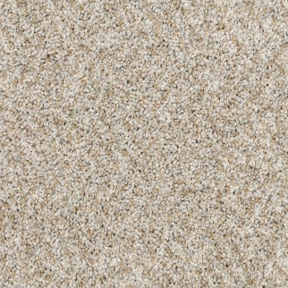 Mohawk Carpet Claws And Effect II Crystalline Mohawk