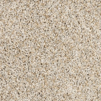 Mohawk Carpet Purrsonality III Crystalline Mohawk