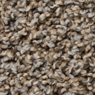 Mohawk Carpet Medalist Iron Mohawk