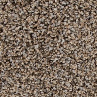 Mohawk Carpet Color Fusion I Iron Side Mohawk