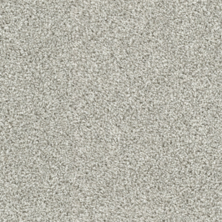 Dixie Home Tactics Quartz