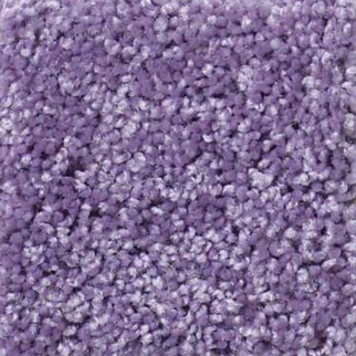 Shaw Floors Kid Crossing Lolli Pop SHAW